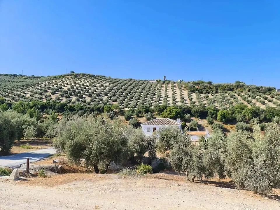Σπίτι διακοπών Cortijo La Polilla Βίλα Cabra